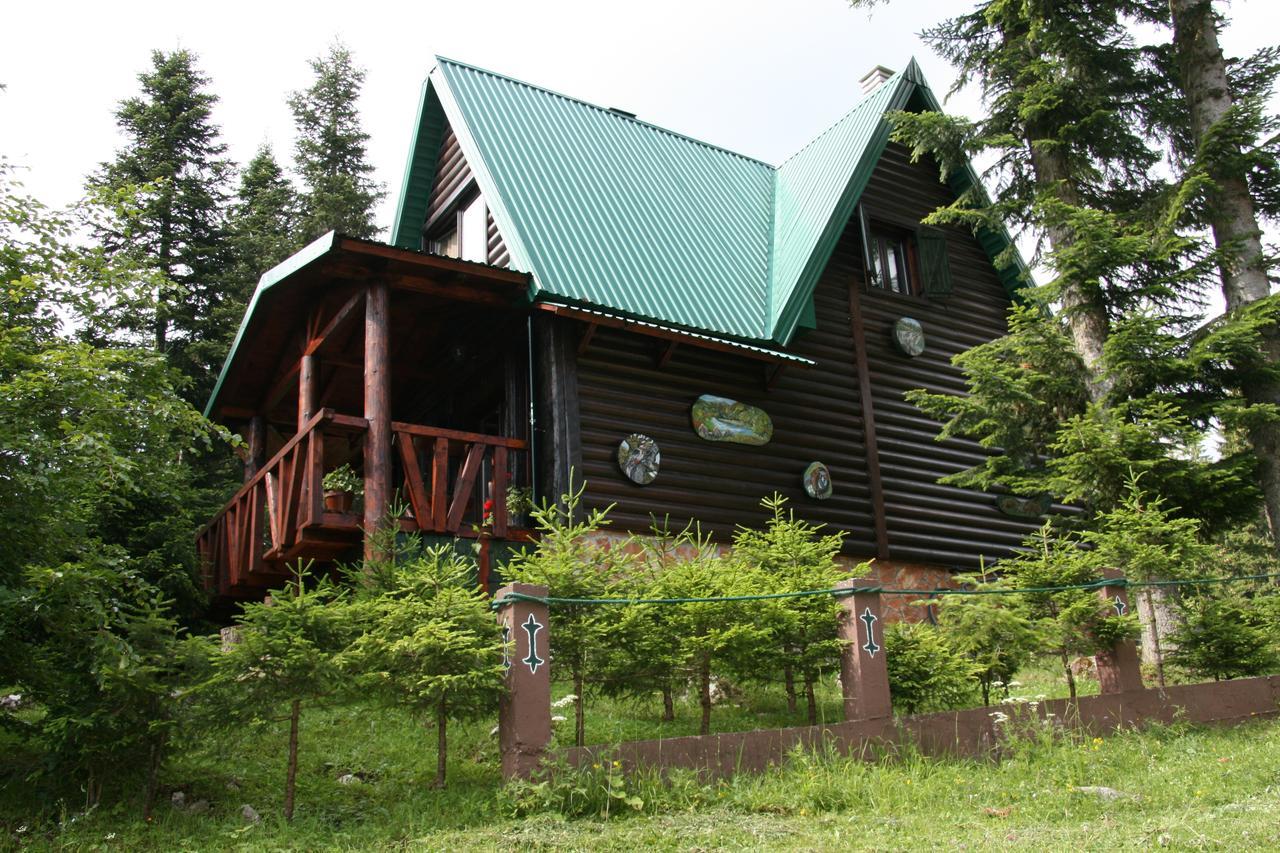 Durmitor Chalet Zabljak  Luaran gambar