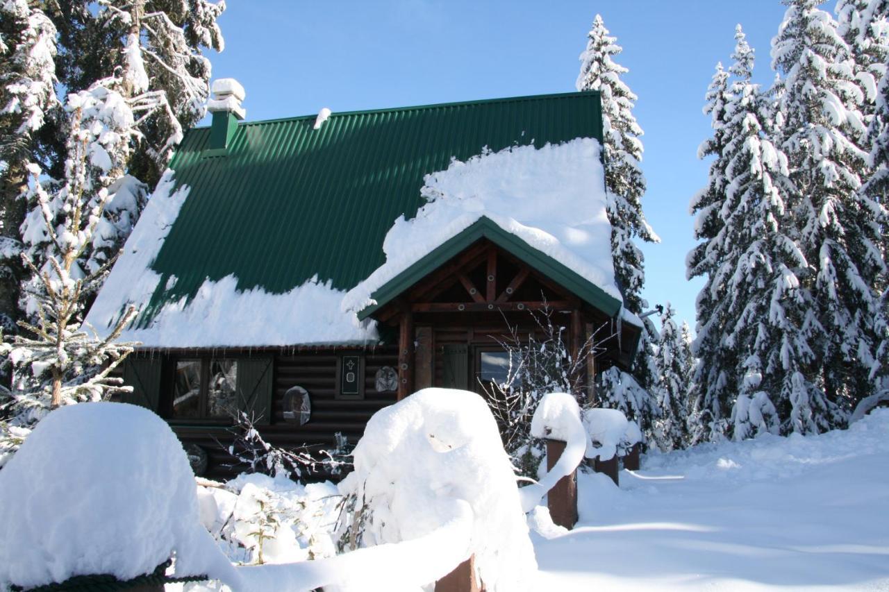 Durmitor Chalet Zabljak  Luaran gambar